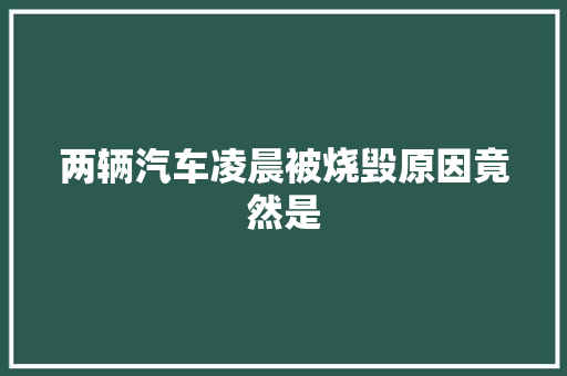 两辆汽车凌晨被烧毁原因竟然是