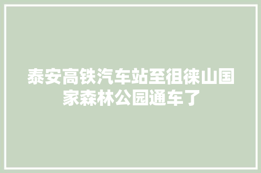泰安高铁汽车站至徂徕山国家森林公园通车了