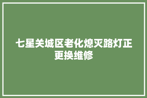 七星关城区老化熄灭路灯正更换维修