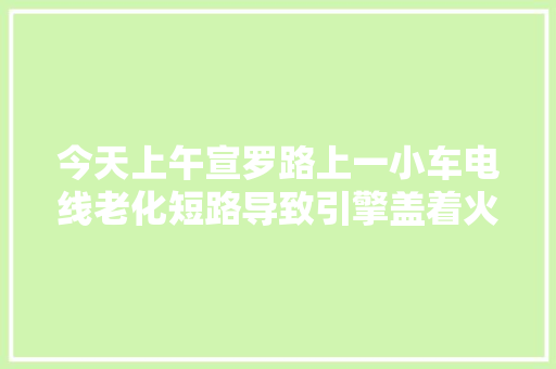今天上午宣罗路上一小车电线老化短路导致引擎盖着火自燃现场火光冲天