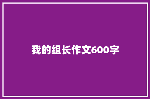 我的组长作文600字