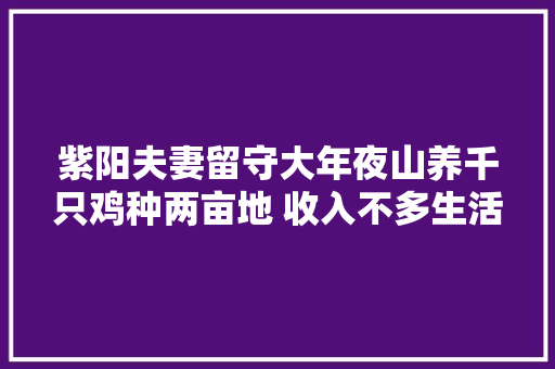 紫阳夫妻留守大年夜山养千只鸡种两亩地 收入不多生活安逸
