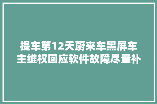 提车第12天蔚来车黑屏车主维权回应软件故障尽量补偿