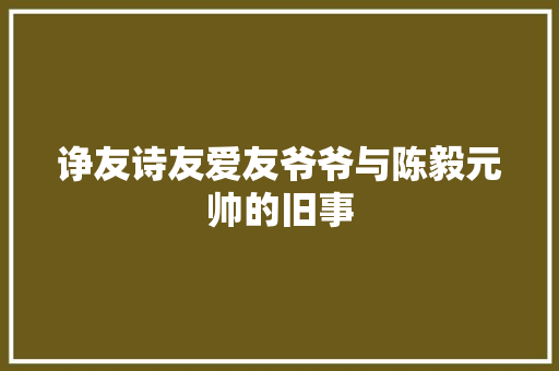 诤友诗友爱友爷爷与陈毅元帅的旧事