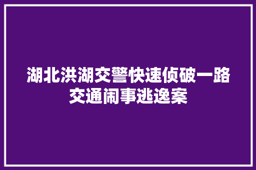 湖北洪湖交警快速侦破一路交通闹事逃逸案