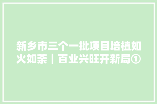 新乡市三个一批项目培植如火如荼｜百业兴旺开新局①
