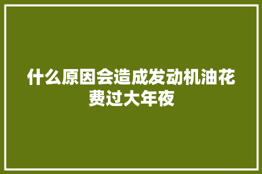 什么原因会造成发动机油花费过大年夜