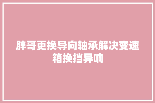 胖哥更换导向轴承解决变速箱换挡异响
