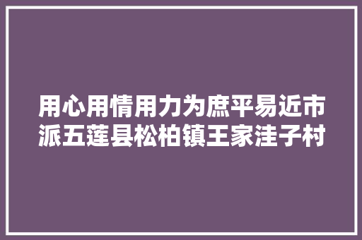 用心用情用力为庶平易近市派五莲县松柏镇王家洼子村党支部书记 张守军