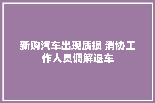 新购汽车出现质损 消协工作人员调解退车