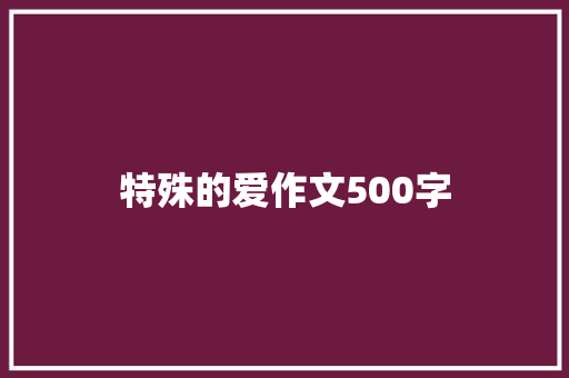特殊的爱作文500字