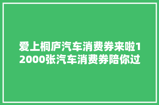 爱上桐庐汽车消费券来啦12000张汽车消费券陪你过520