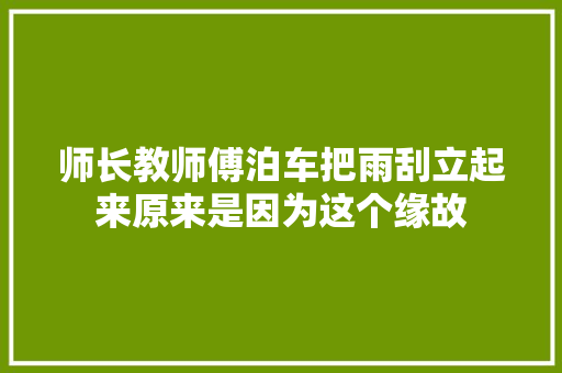 师长教师傅泊车把雨刮立起来原来是因为这个缘故