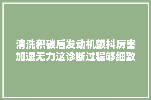 清洗积碳后发动机颤抖厉害加速无力这诊断过程够细致