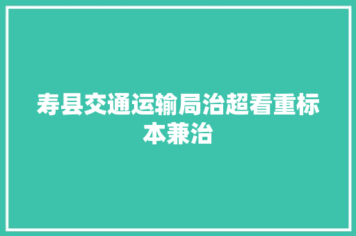 寿县交通运输局治超看重标本兼治