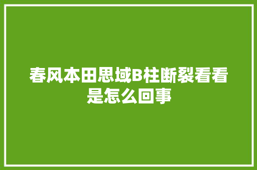 春风本田思域B柱断裂看看是怎么回事