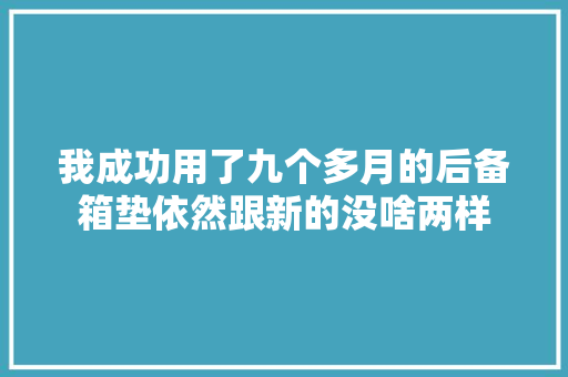 我成功用了九个多月的后备箱垫依然跟新的没啥两样