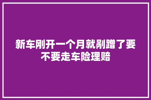 新车刚开一个月就剐蹭了要不要走车险理赔 汽车知识