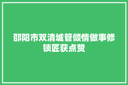 邵阳市双清城管倾情做事修锁匠获点赞