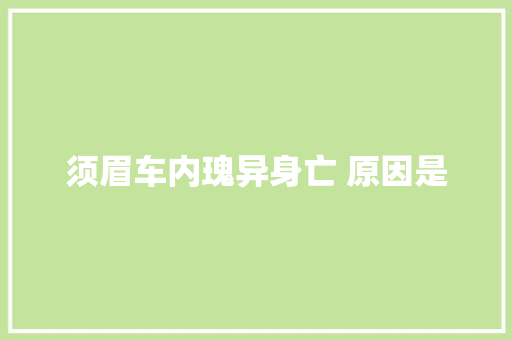 须眉车内瑰异身亡 原因是