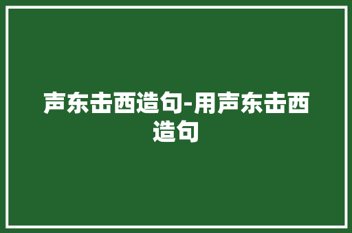 声东击西造句-用声东击西造句