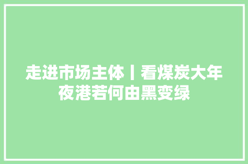 走进市场主体丨看煤炭大年夜港若何由黑变绿 汽车知识