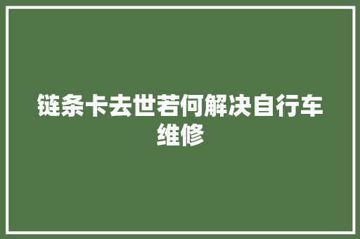 链条卡去世若何解决自行车维修