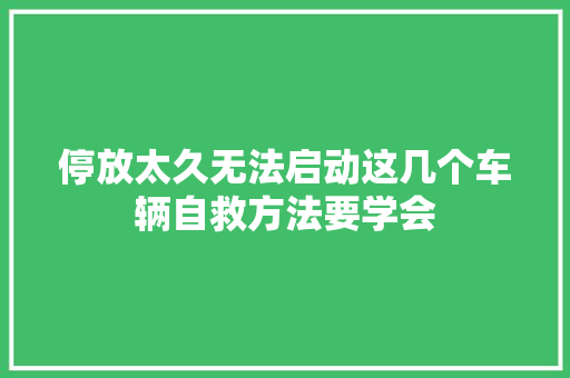 停放太久无法启动这几个车辆自救方法要学会