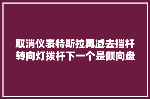 取消仪表特斯拉再减去挡杆转向灯拨杆下一个是倾向盘 汽车知识