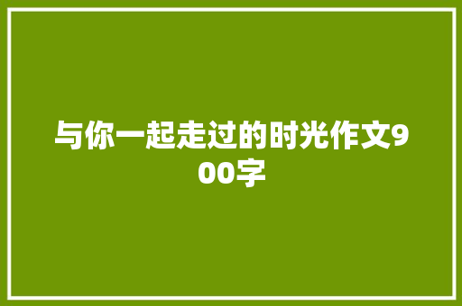 与你一起走过的时光作文900字