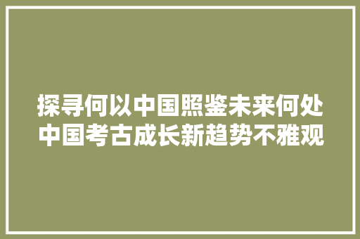 探寻何以中国照鉴未来何处中国考古成长新趋势不雅观察