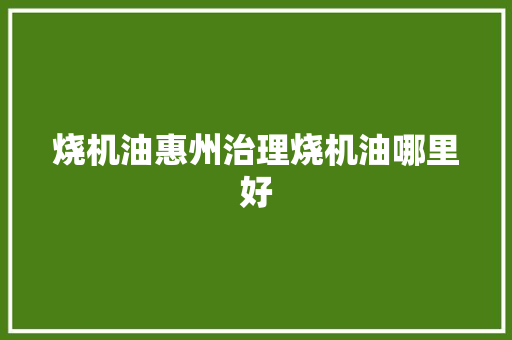 烧机油惠州治理烧机油哪里好