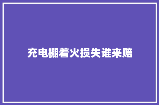 充电棚着火损失谁来赔