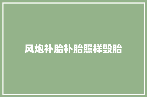 风炮补胎补胎照样毁胎