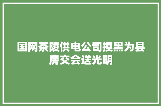 国网茶陵供电公司摸黑为县房交会送光明