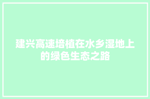 建兴高速培植在水乡湿地上的绿色生态之路