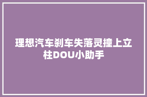 理想汽车刹车失落灵撞上立柱DOU小助手