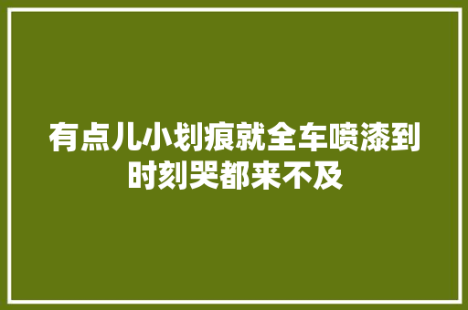 有点儿小划痕就全车喷漆到时刻哭都来不及