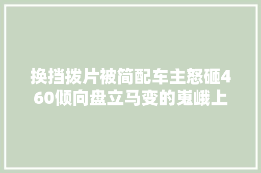 换挡拨片被简配车主怒砸460倾向盘立马变的嵬峨上