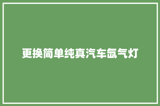 更换简单纯真汽车氙气灯