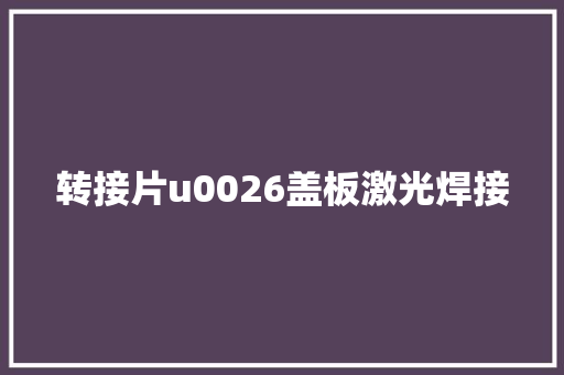 转接片u0026盖板激光焊接