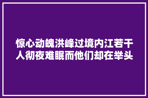 惊心动魄洪峰过境内江若干人彻夜难眠而他们却在举头逆行