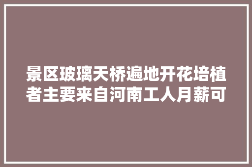 景区玻璃天桥遍地开花培植者主要来自河南工人月薪可达15万