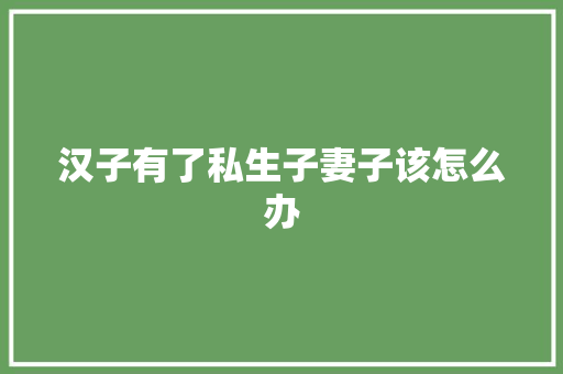 汉子有了私生子妻子该怎么办
