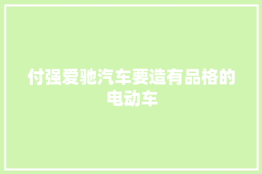 付强爱驰汽车要造有品格的电动车
