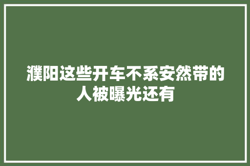 濮阳这些开车不系安然带的人被曝光还有