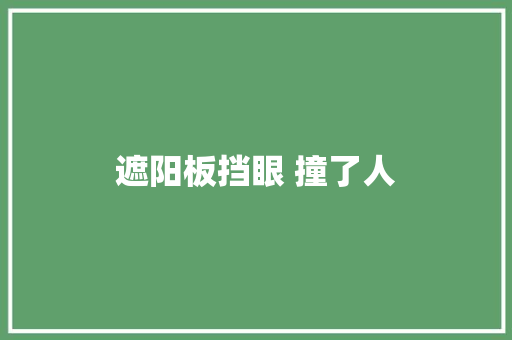遮阳板挡眼 撞了人 汽车知识