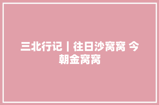 三北行记｜往日沙窝窝 今朝金窝窝