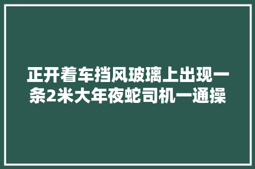 正开着车挡风玻璃上出现一条2米大年夜蛇司机一通操作网友都服了