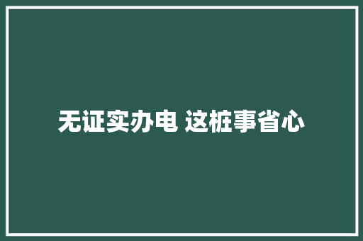 无证实办电 这桩事省心 汽车知识